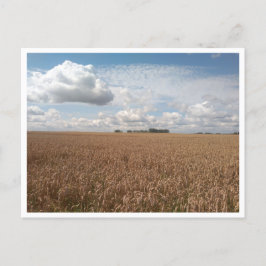 Cartão Postal Puck (Polônia)