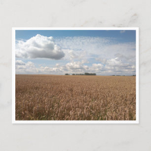 Cartão Postal Puck (Polônia)