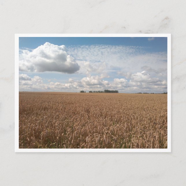 Cartão Postal Puck (Polônia) (Frente)