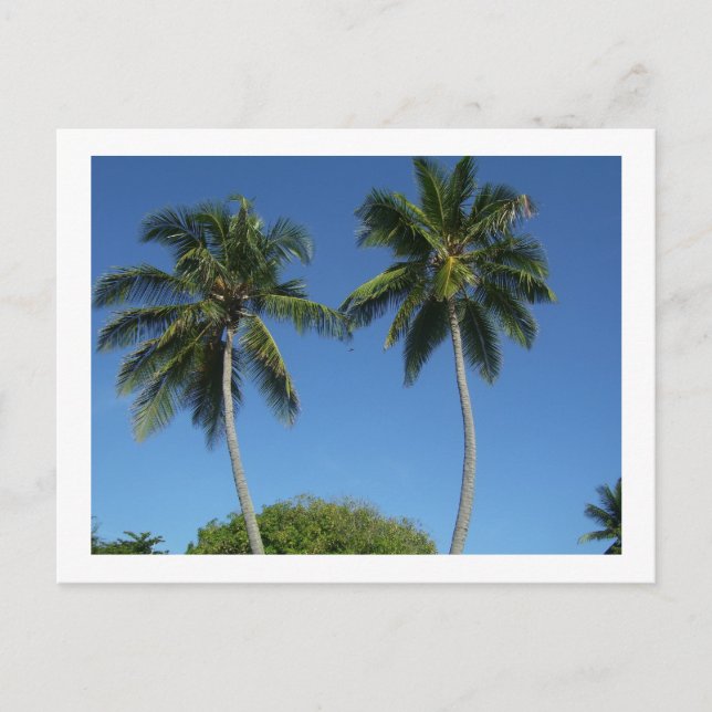 Cartão Postal Puerto Rico (Frente)