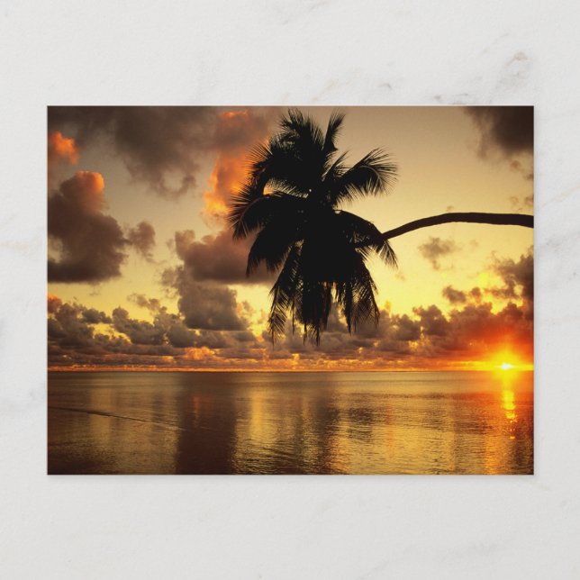 Cartão Postal Puerto Vallarta (Frente)