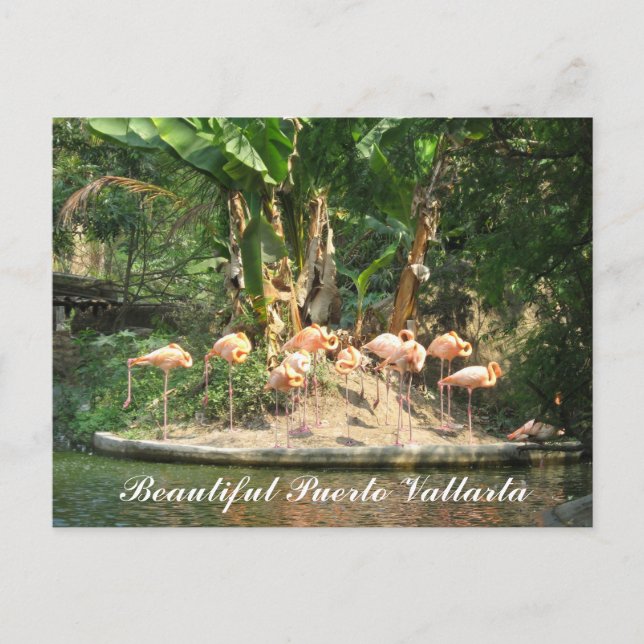 Cartão Postal Puerto Vallarta Postcard (Frente)