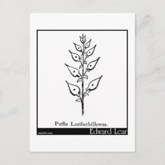 Cartão Postal Puffia Leatherbellowsa.
