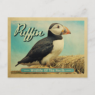 Cartão Postal Puffin Bird Postcard - Wildlife of the North