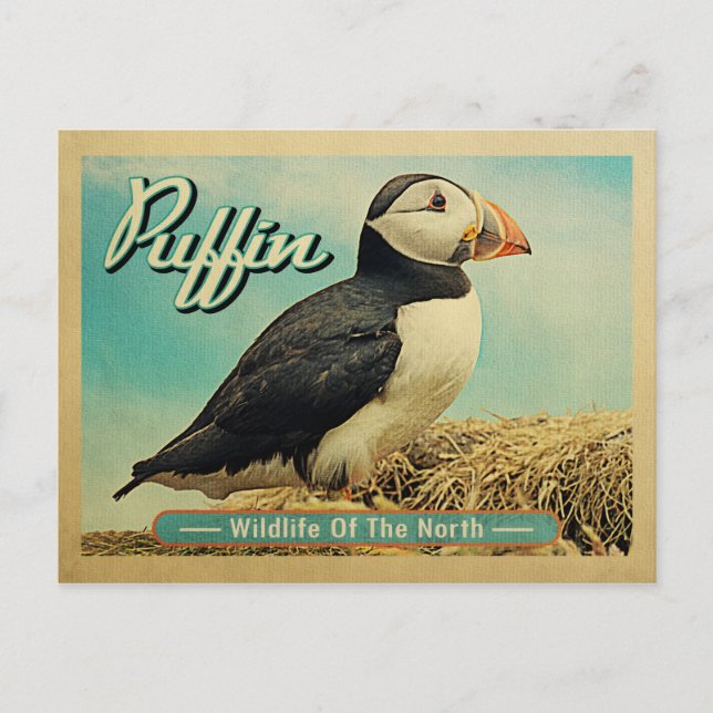Cartão Postal Puffin Bird Postcard - Wildlife of the North (Frente)