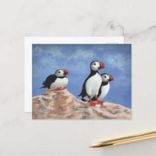 Cartão Postal Puffin Trio