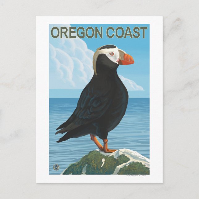 Cartão Postal Puffin Tufado na Costa do Oregon (Frente)