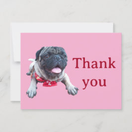 Cartão Postal pug