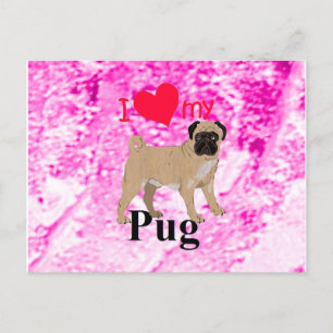 Cartão Postal Pug