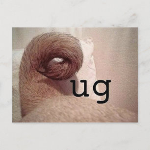 Cartão Postal Pug