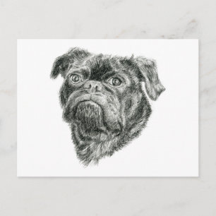 Cartão Postal Pug
