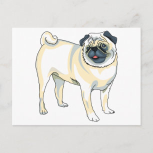 Cartão Postal Pug
