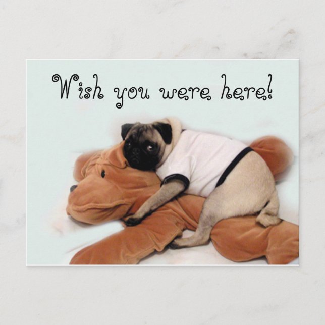 Cartão Postal Pug Blues (Frente)