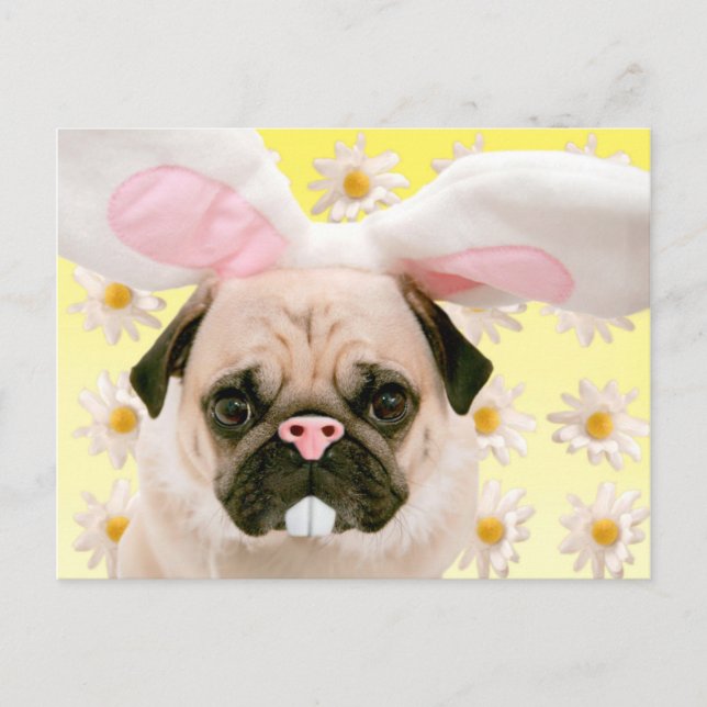 Cartão Postal Pug Bunny Ears (Frente)