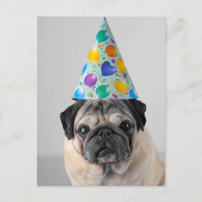 Cartão Postal Pug de festa (Frente)