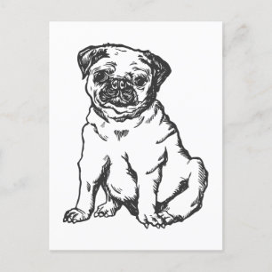 Cartão Postal Pug dog, ilustração a preto e branco