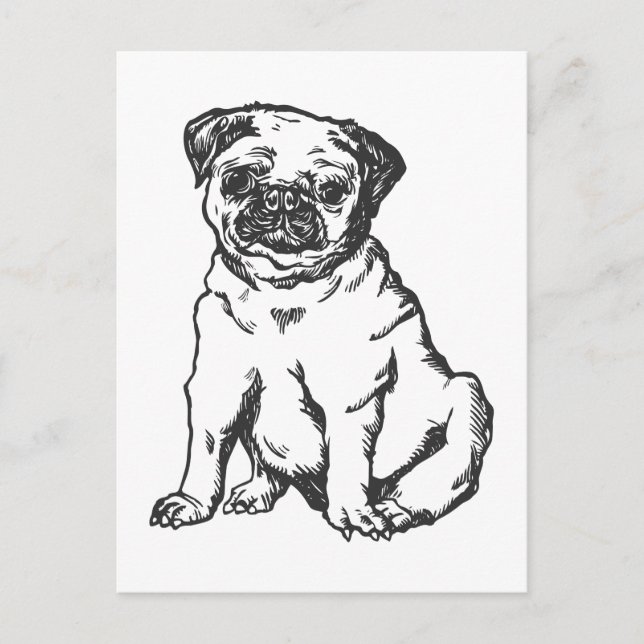 Cartão Postal Pug dog, ilustração a preto e branco (Frente)