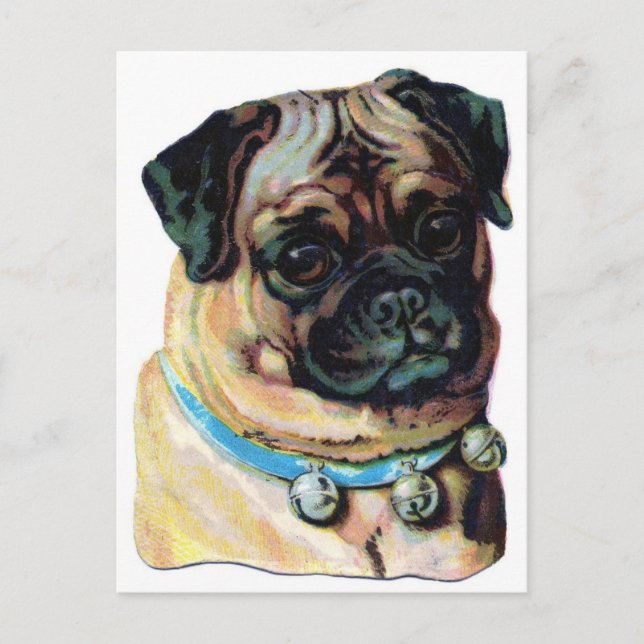 Cartão Postal Pug Dog Vintage (Frente)