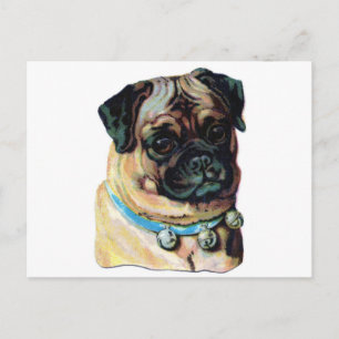 Cartão Postal Pug Dog Vintage