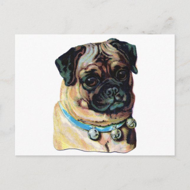 Cartão Postal Pug Dog Vintage (Frente)