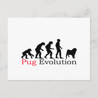 Cartão Postal Pug Evolution