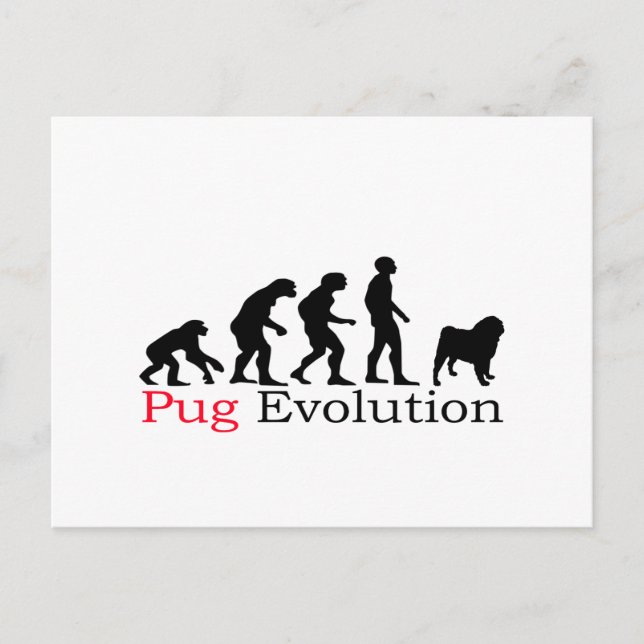 Cartão Postal Pug Evolution (Frente)