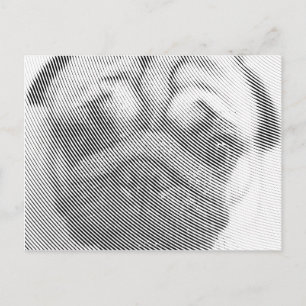 Cartão Postal Pug Face
