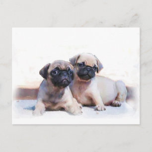 Cartão Postal Pug filhotes