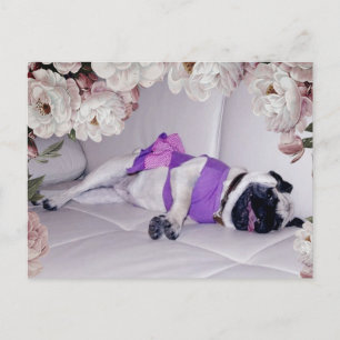 Cartão Postal Pug Fofo