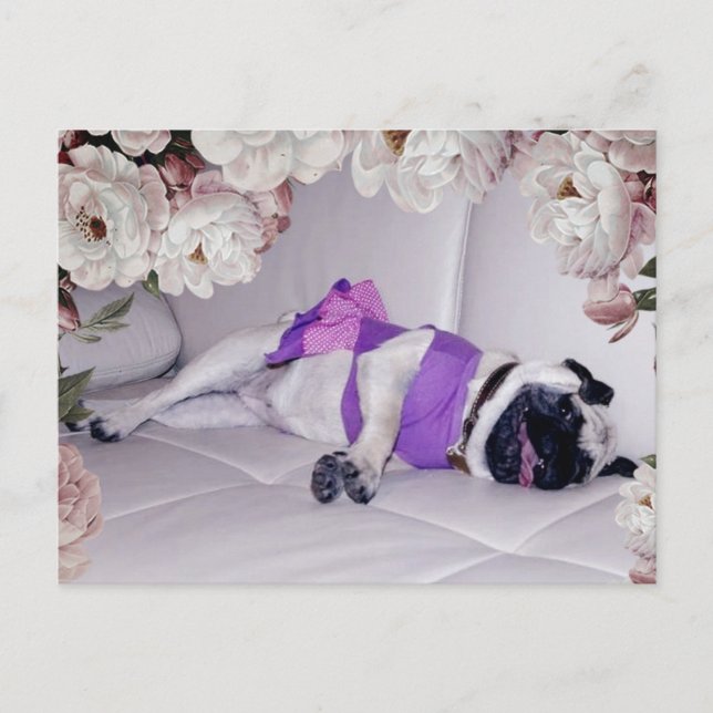 Cartão Postal Pug Fofo (Frente)