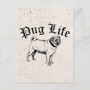 Cartão Postal Pug Life Funny Dog Gangster