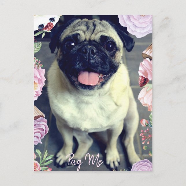 Cartão Postal Pug Me - Pug Feliz (Frente)