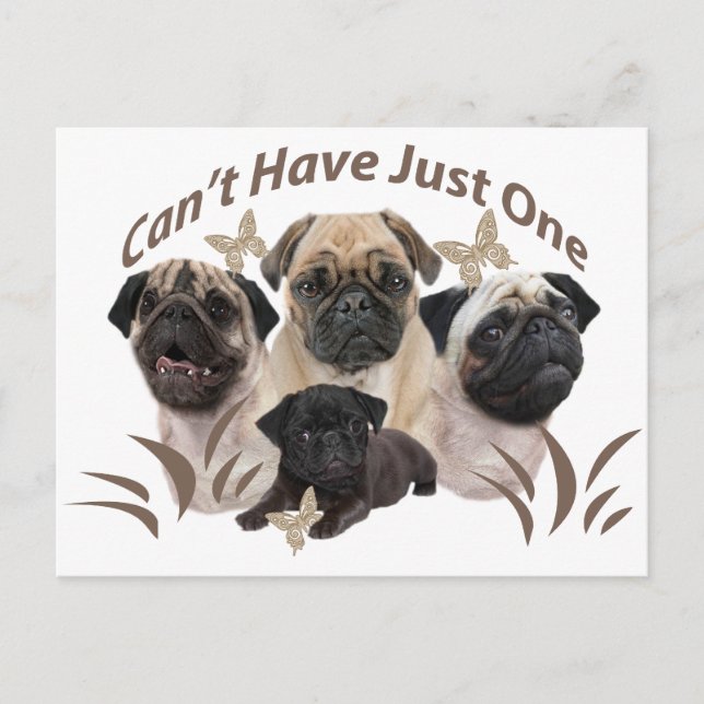 Cartão Postal Pug não pode ter apenas um Roupa e presentes (Frente)