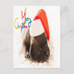 Cartão Postal Pug Natal