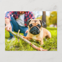 Cartão Postal Pug Playing Fetch with Stick