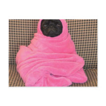 Pug preto em uma cobertura cor-de-rosa
