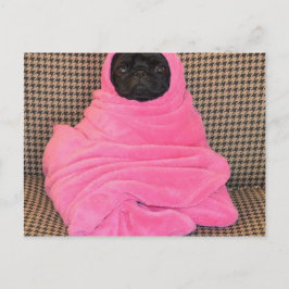 Cartão Postal Pug preto em uma cobertura cor-de-rosa