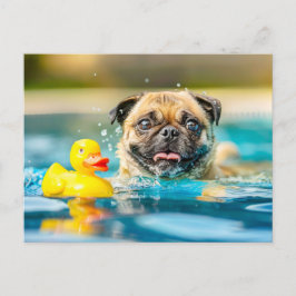 Cartão Postal Pug Swimming with Rubber Duck in Pool