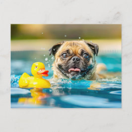 Cartão Postal Pug Swimming with Rubber Duck in Pool
