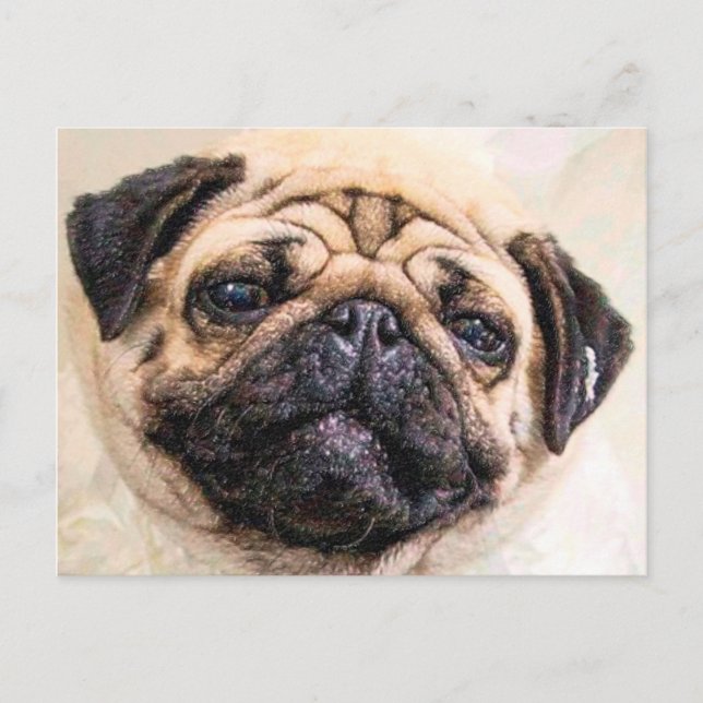 Cartão Postal Pugged (Frente)
