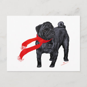 Cartão Postal Pugs com Cachecol Vermelho
