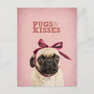 Cartão Postal Pugs & Kisses de itslolathepug