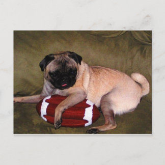 Cartão Postal Pugs Love Futebol!