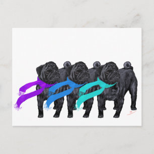 Cartão Postal Pugs Pretos com Cachecóis