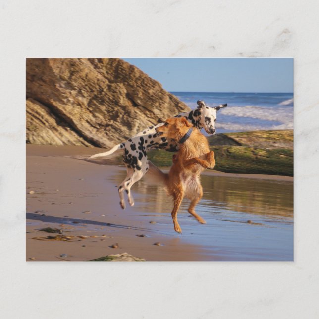 Cartão Postal Pulando de alegria! (Frente)