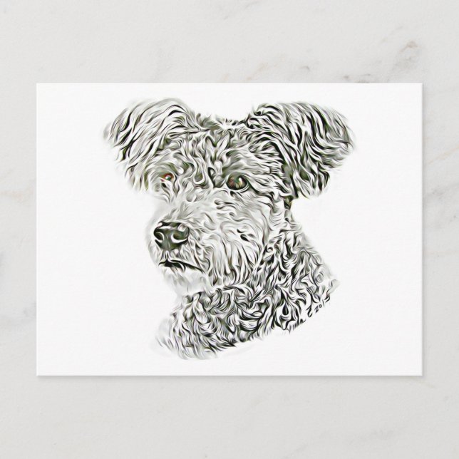 Cartão Postal Pumi (Frente)