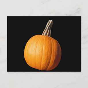 CARTÃO POSTAL PUMPKIN
