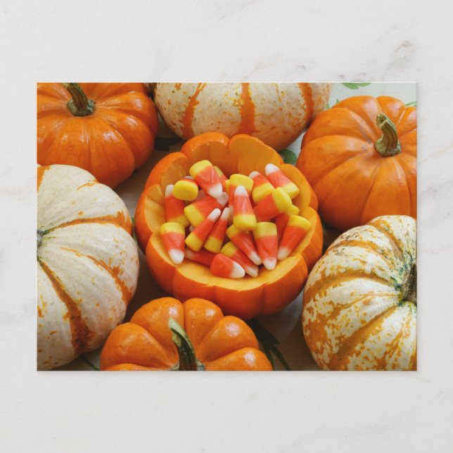 Cartão Postal Pumpkin e Candy Corn (Frente)