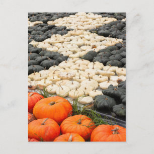 Cartão Postal Pumpkin e squash, Alemanha