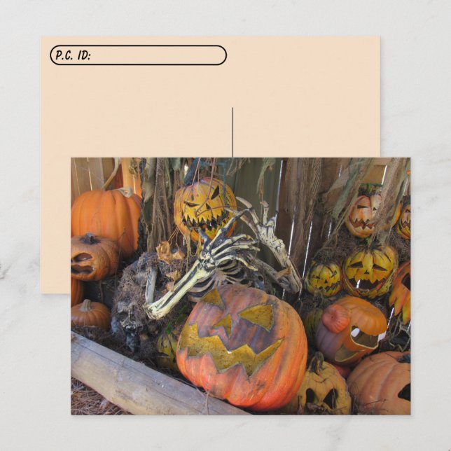 Cartão postal - Pumpkin Ghoul Halloween (Frente/Verso)